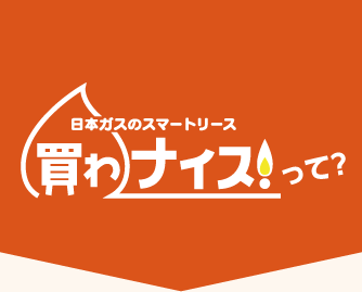 日本 人 の セックス ビデオ​